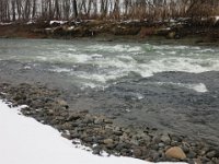 picture (67)